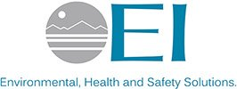 logo ei group.webp